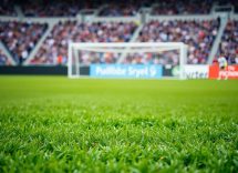 1216x832 20 01 45 18 217272863