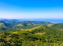 1216x832 23 06 15 15 266517292