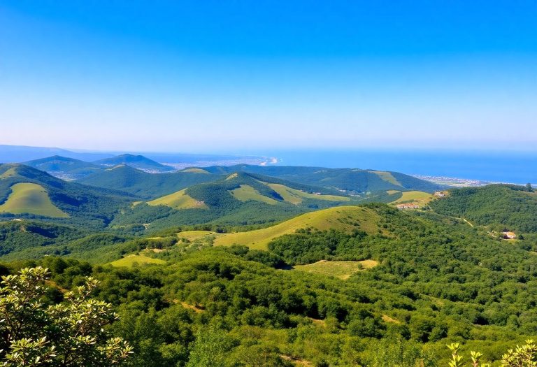 1216x832 23 06 15 15 266517292