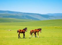 1216x832 23 16 45 29 52219587