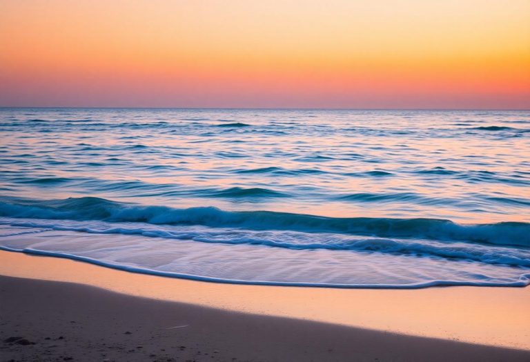 1216x832 24 11 00 31 197612524