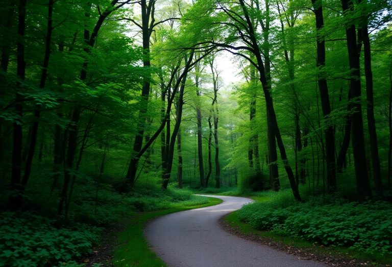 1216x832 26 00 00 23 475162877