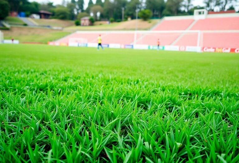 1216x832 26 19 15 20 402889400