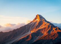 1216x832 28 01 15 20 211550121