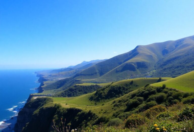 1216x832 28 05 45 17 233072947