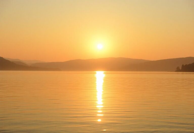 1216x832 29 16 45 24 706815409