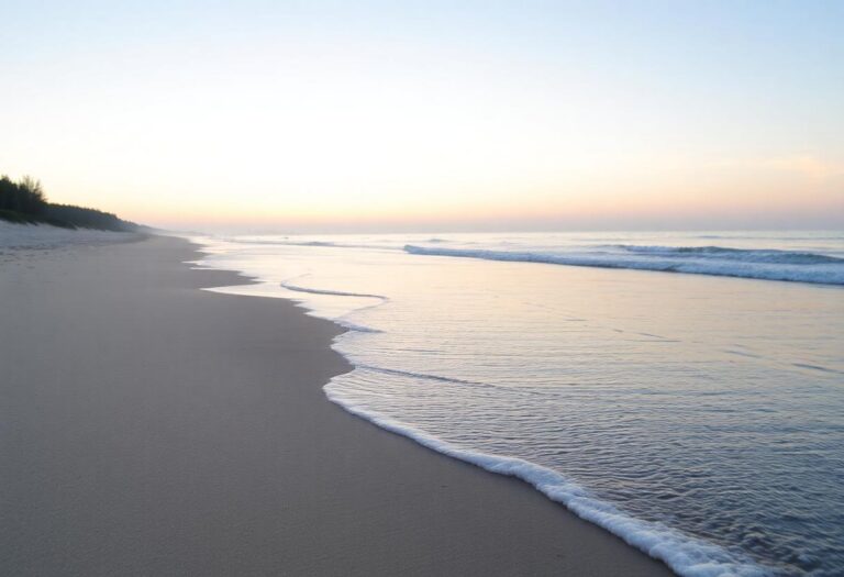 1216x832 30 11 45 23 858014693