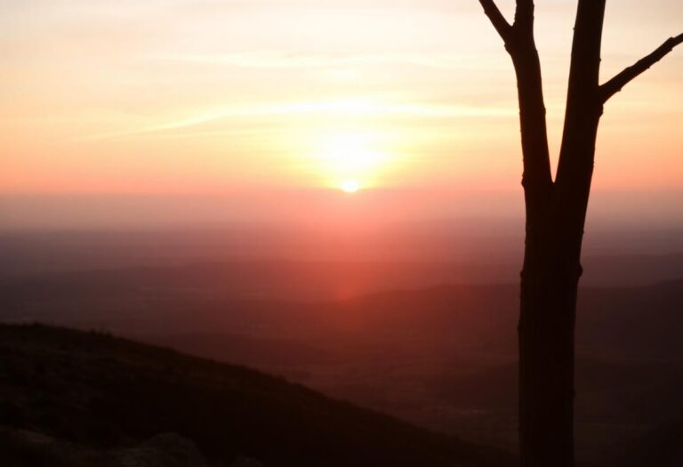 1216x832 30 12 45 23 64770443