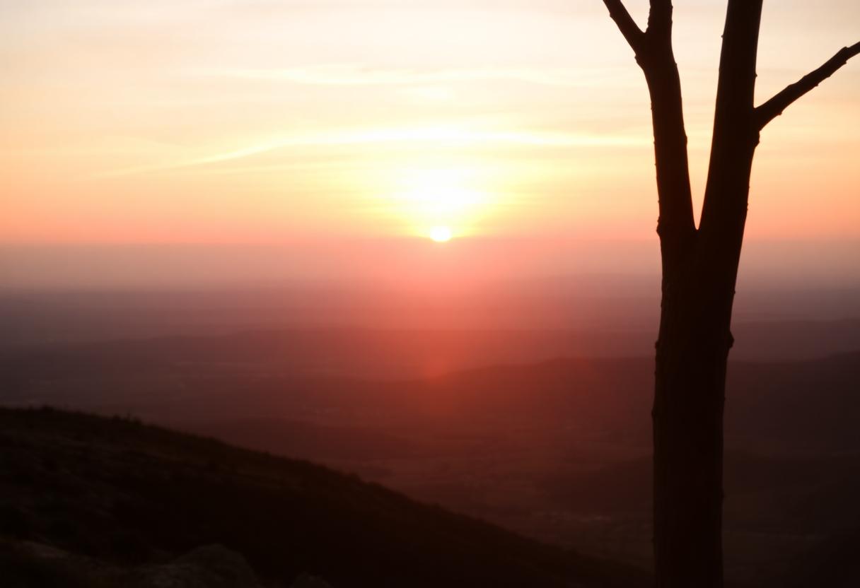 1216x832 30 12 45 23 64770443