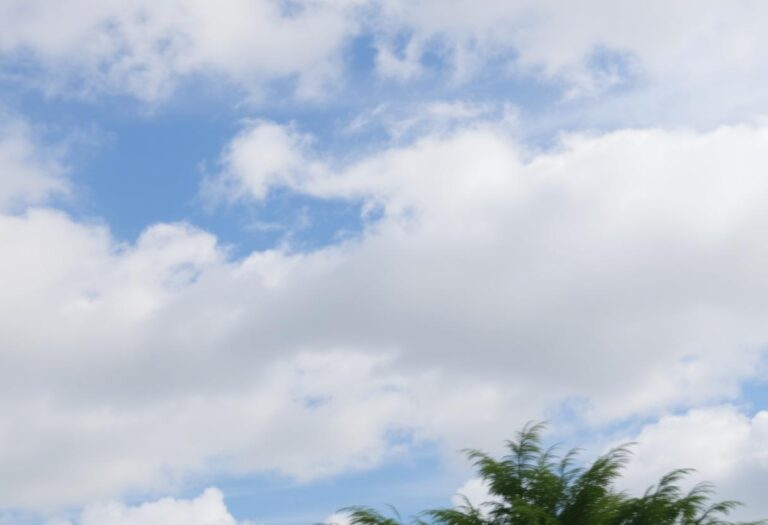 1216x832 31 13 15 19 150292963