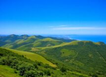 1216x832 02 02 30 16 489114781