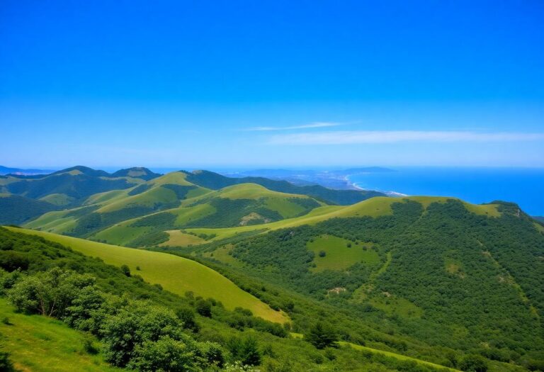 1216x832 02 02 30 16 489114781