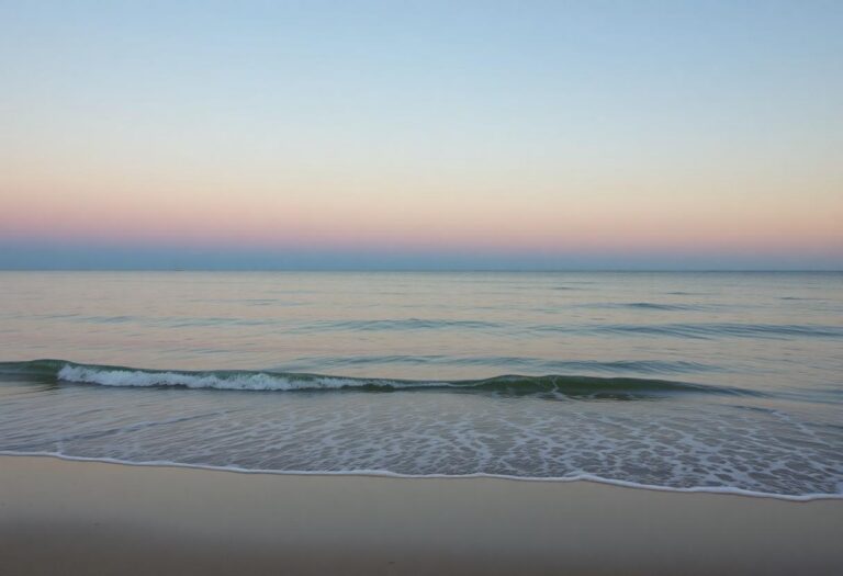 1216x832 03 05 45 19 198466200