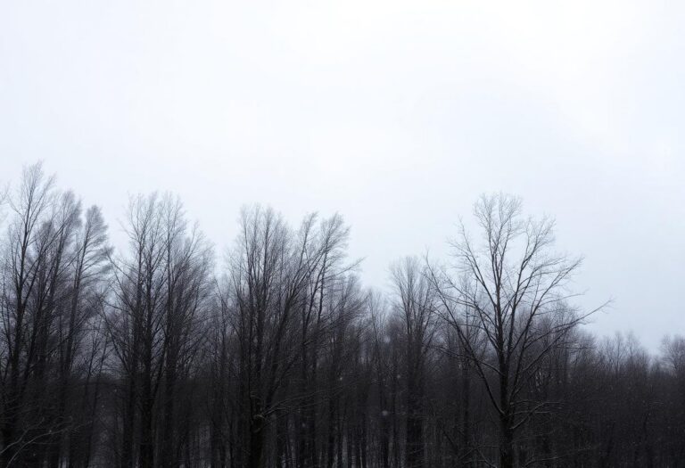 1216x832 04 14 00 26 960997808