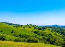 1216x832 05 02 00 29 815410233