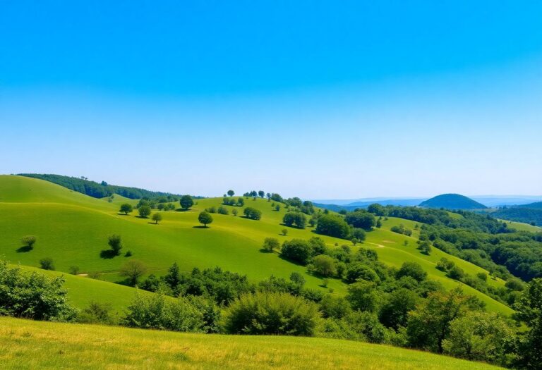 1216x832 05 02 00 29 815410233