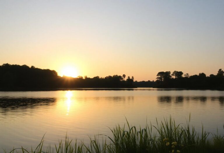 1216x832 08 09 30 29 350070521