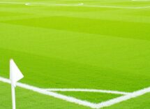 1216x832 09 04 15 29 701452337