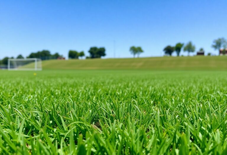 1216x832 09 05 45 19 87565413