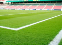 1216x832 11 03 15 15 847124335