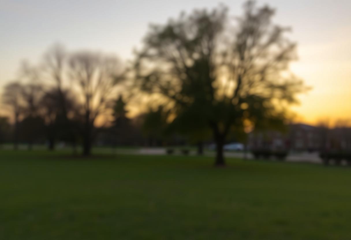 1216x832 11 04 00 23 742552476