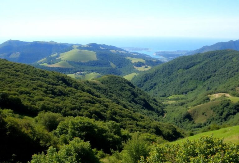 1216x832 11 07 00 15 950535937