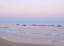 1216x832 11 07 45 20 538211907