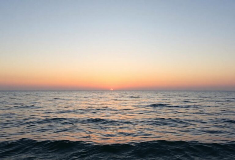 1216x832 11 08 15 31 665697291