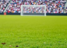 1216x832 11 08 45 25 937018959