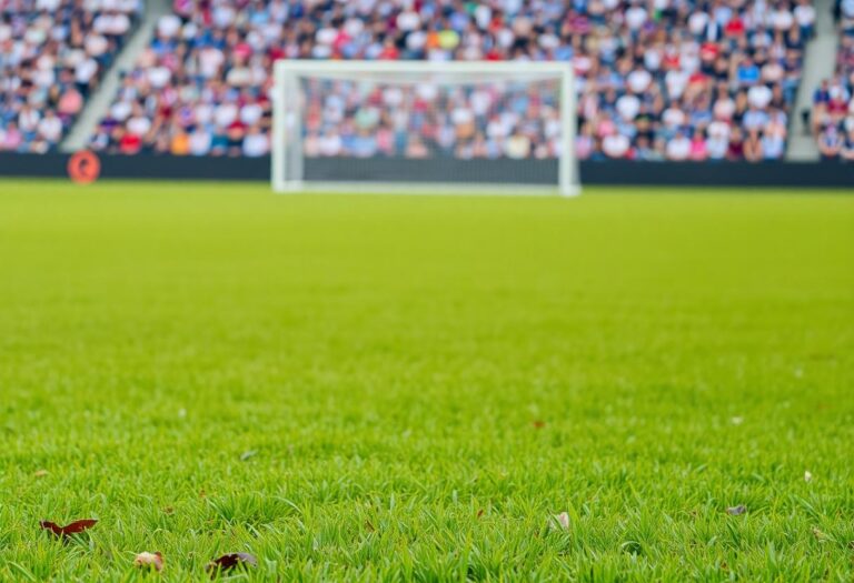 1216x832 11 08 45 25 937018959