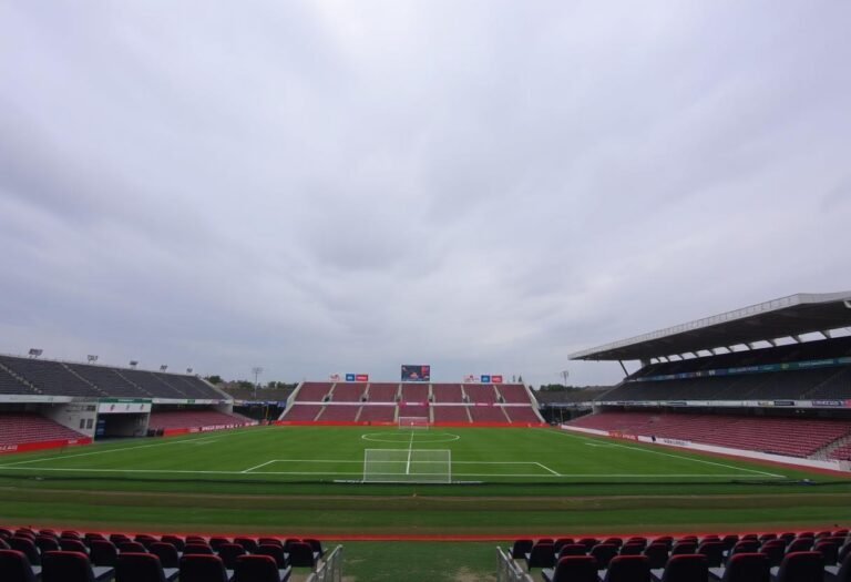 1216x832 11 11 01 32 629272712