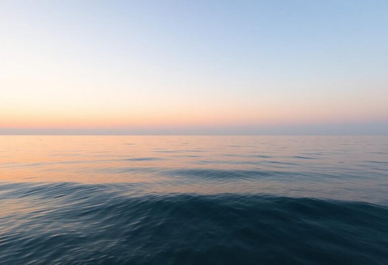 1216x832 11 12 15 24 802664554