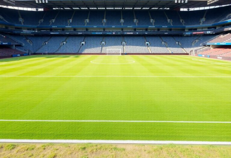 1216x832 11 12 45 21 246725653