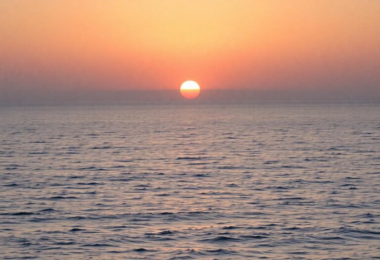 1216x832 11 15 45 17 707306983