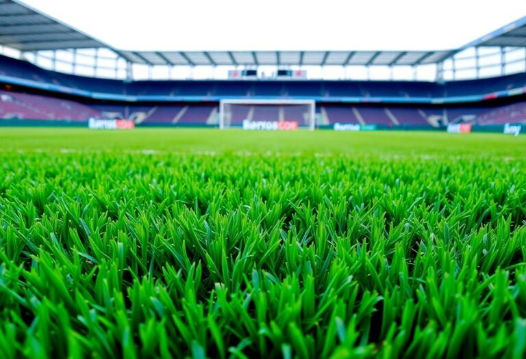 1216x832 12 10 15 24 374991624