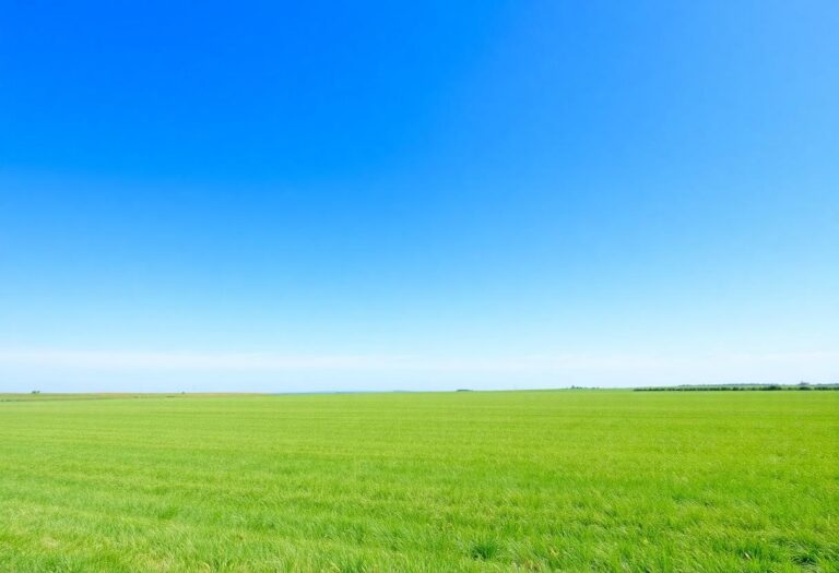 1216x832 12 15 30 24 904879663