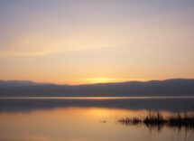 1216x832 15 06 00 17 657077456