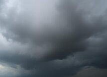 1216x832 15 06 45 18 206191733