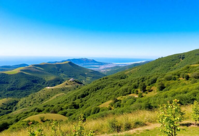 1216x832 16 06 45 14 888727776