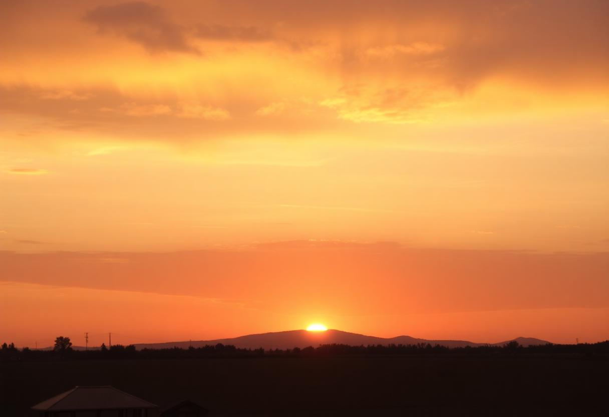 1216x832 17 01 15 19 216577948