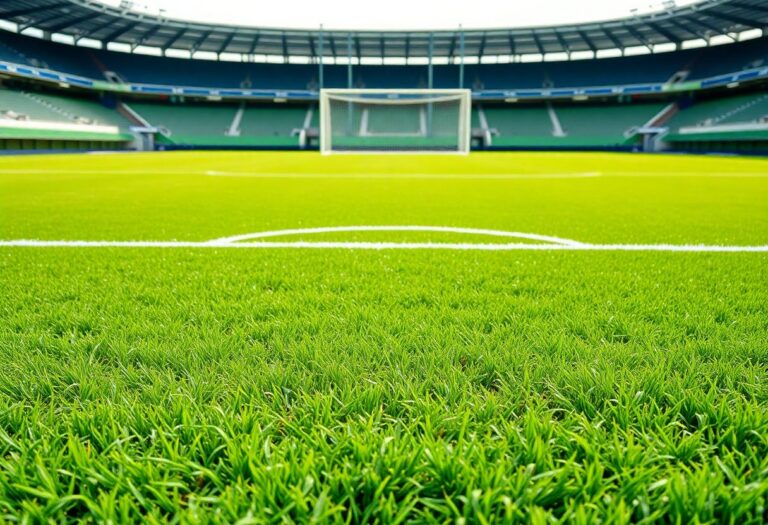 1216x832 17 01 30 24 846856973