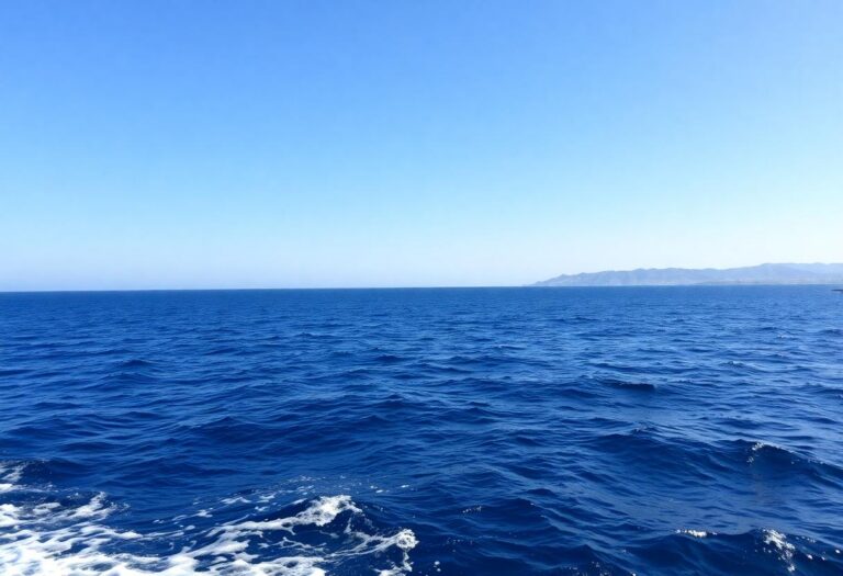 1216x832 17 14 15 17 985504911