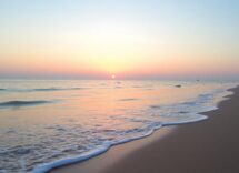 1216x832 19 01 15 21 44779244