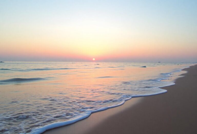 1216x832 19 01 15 21 44779244