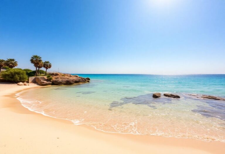 1216x832 20 20 45 21 113639211