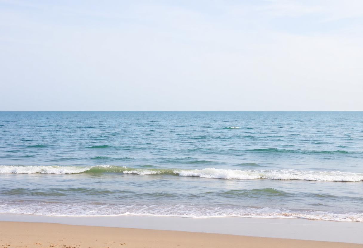 1216x832 05 00 00 18 641313617