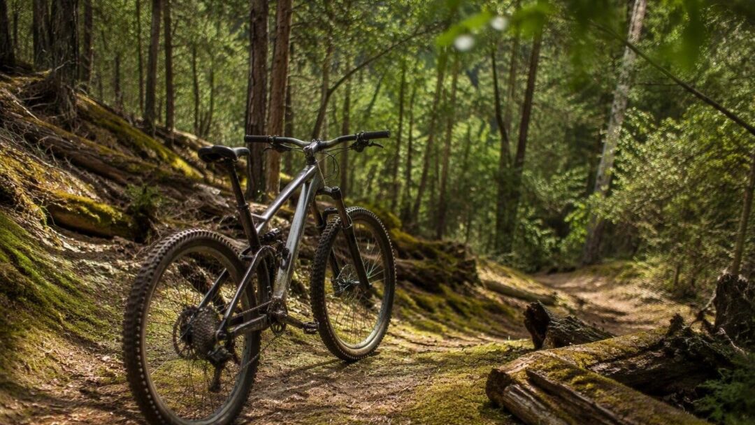 Evento MTB XCM a Dwellingup: tutto ciò che devi sapere