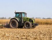 Grandine eccezionale in Lombardia: danni in agricoltura e alle strutture