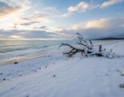 Nuova Zelanda: ondata di freddo eccezionale porta neve a bassa quota