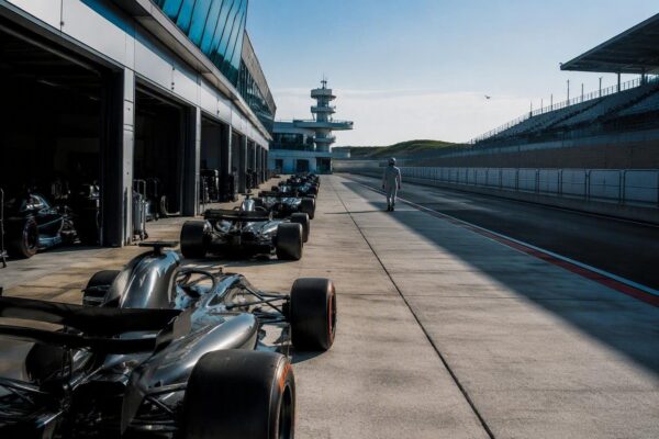 Perché il pilota della Red Bull critica le attuali F1